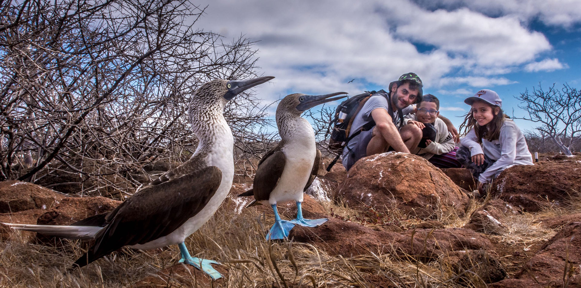 Blue-footed boobies and guests in the Galapagos
