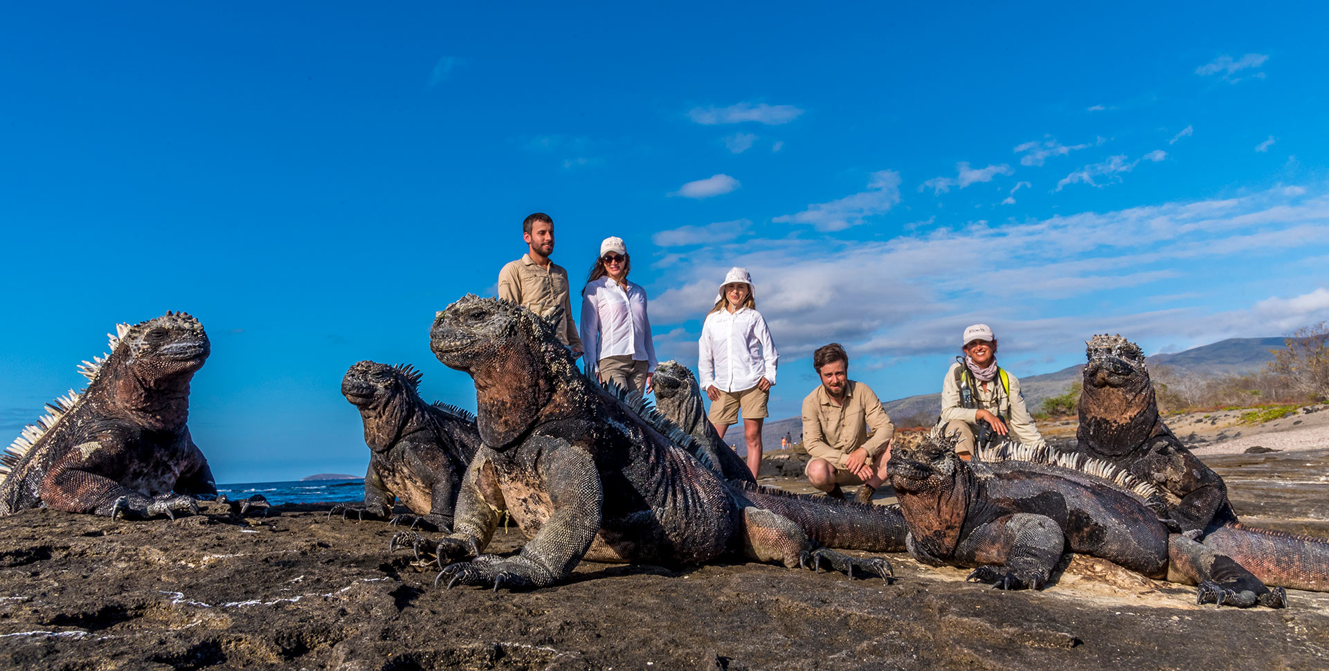 Wildlife observation in the Galapagos Islands