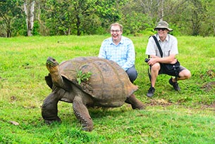 Giant tortoise in northern Santa Cruz