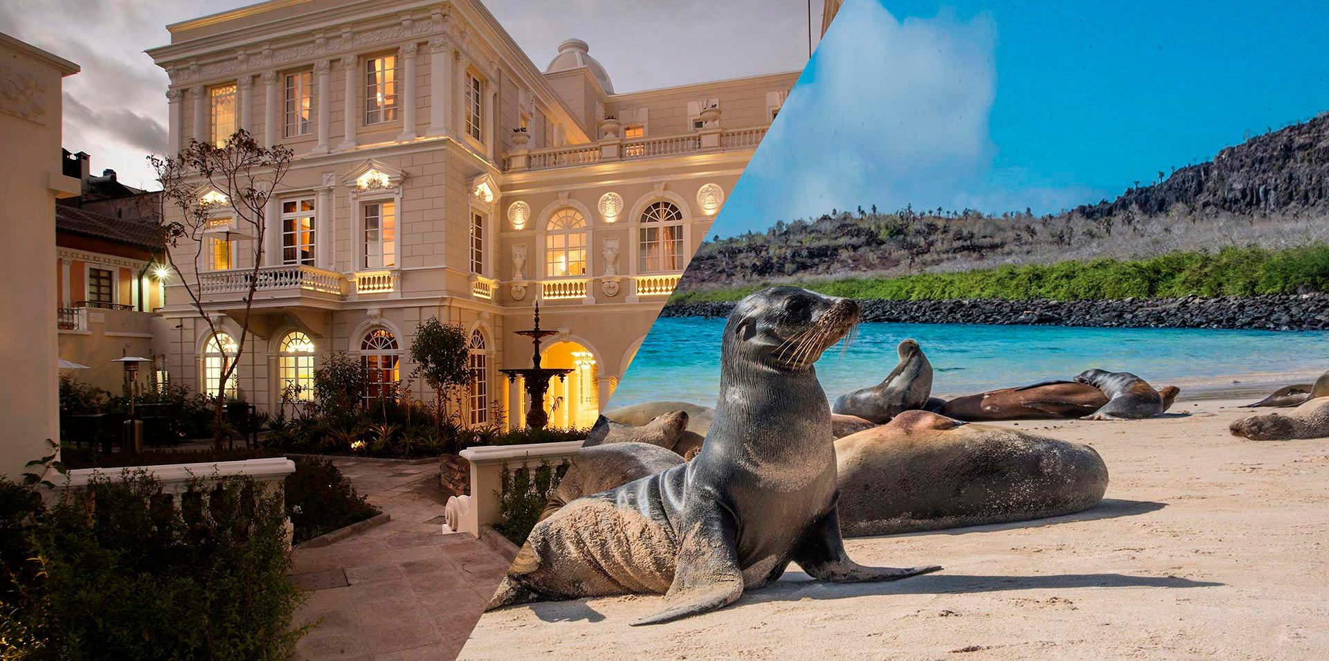 Boutique Hotel Casa Gangotena and a Galapagos Sea Lion