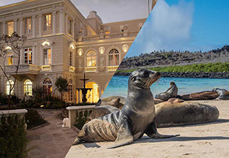 Hotel Boutique Casa Gangotena y un lobo marino de Galápagos