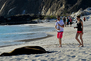 Tourists at Cerro Brujo, Galapagos