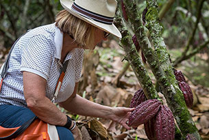 Cacao Tour in Ecuador at Hacienda La Danesa