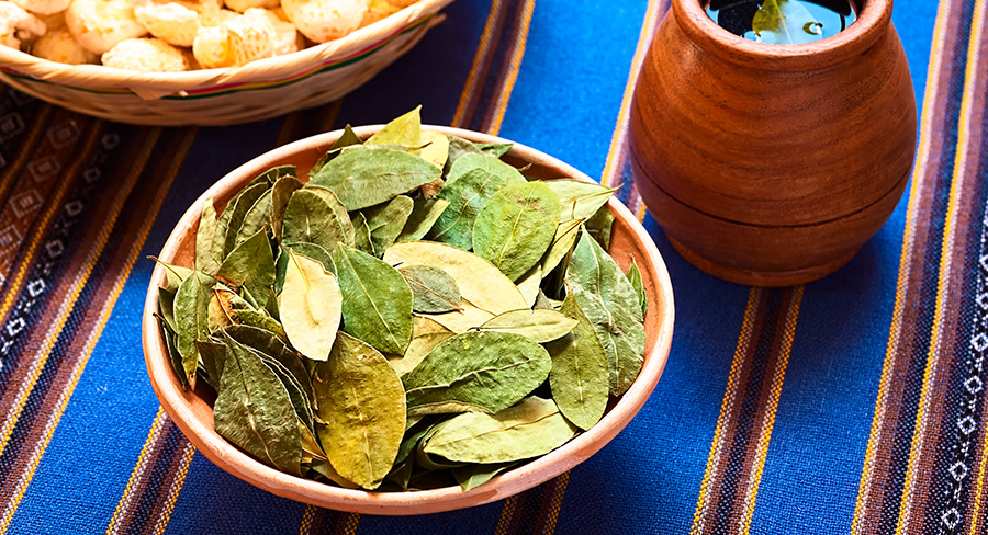 Coca leaves and tea in Peru