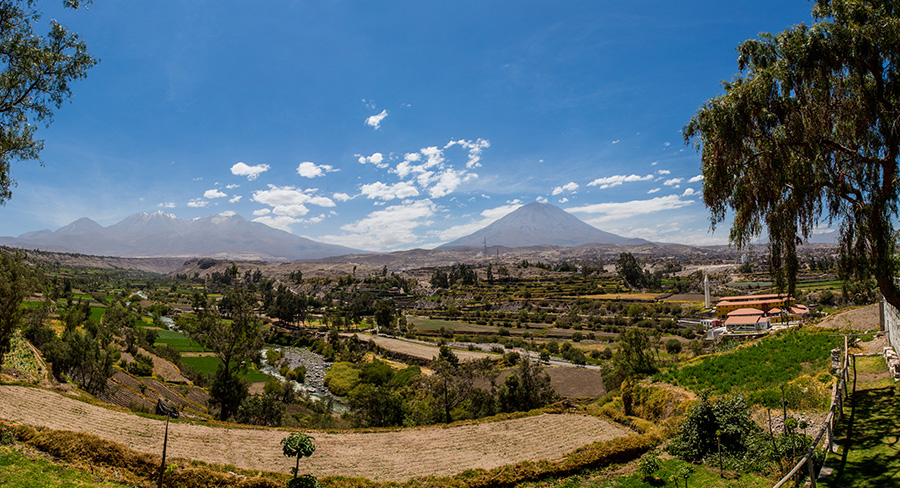 Vineyards in Arequipa, Peru
