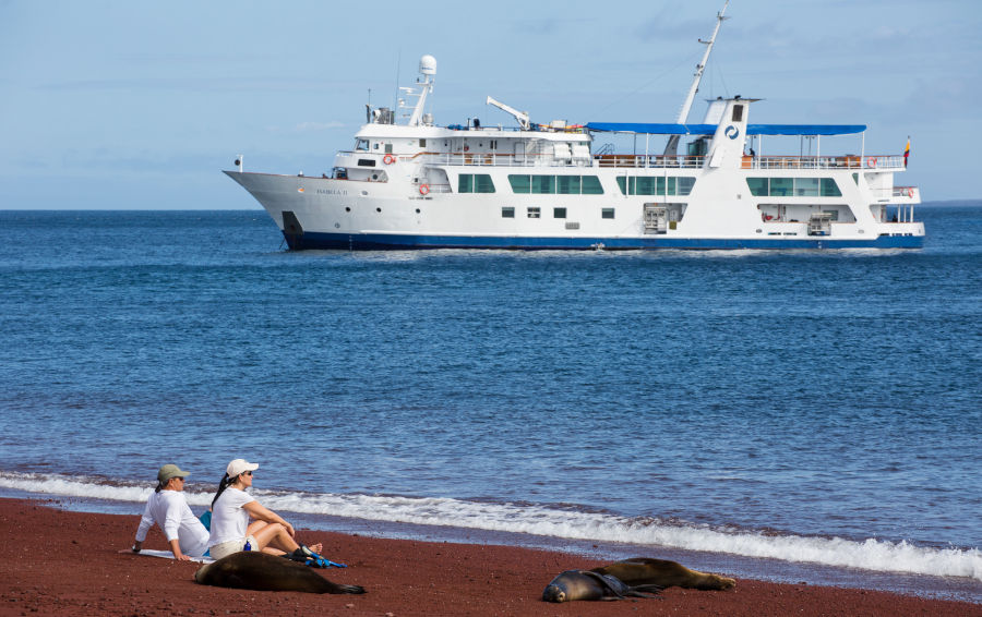 Yacht Isabella II guests next to some sealions in the Galapagos