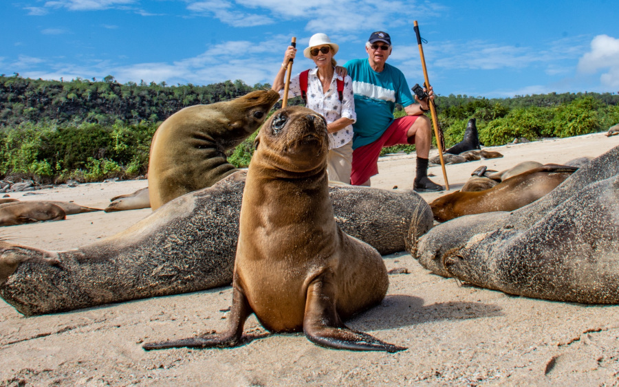 Couple posing amidst sea lions in the islands