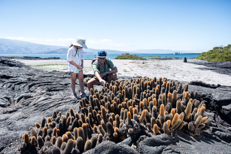 Little girl learns about the wonders of the ecosystem at the Galapagos