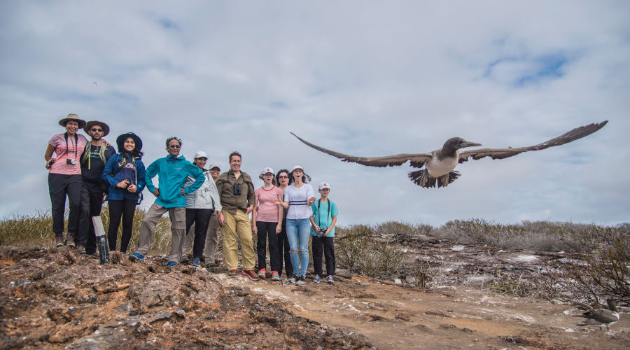 Hikers marvel at a booby's flight in the Galapagos