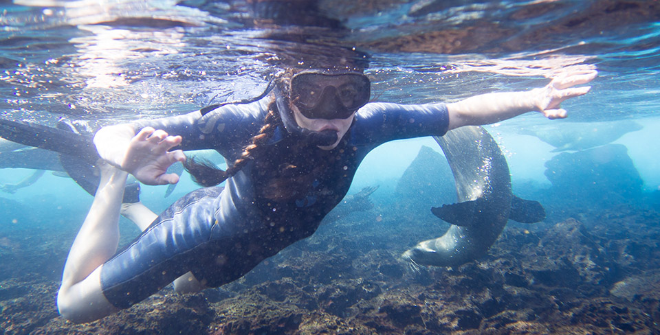 Snorkeling in the Galapagos with Sea Lions
