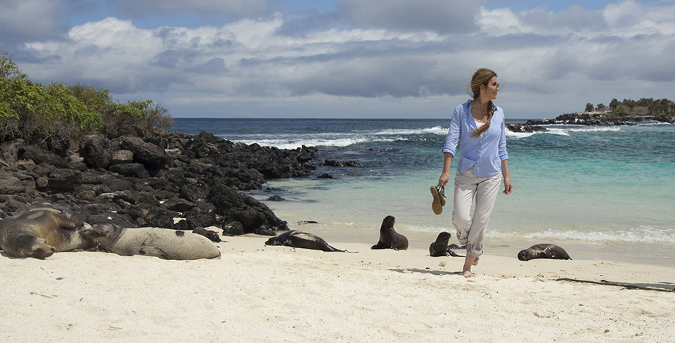 Exploring the shorelines and wildlife of the Galapagos