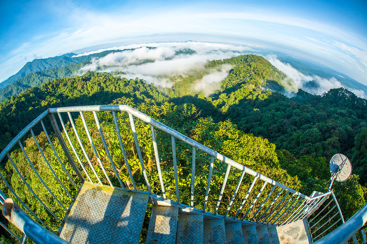 Vista desde la Torre de Observación del Mashpi Lodge. El mejor destino para los mejores amantes de la naturaleza en América del Sur