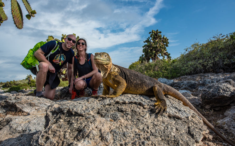 Pareja con iguana terrestre en Galápagos.