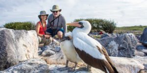 Couple with Nazca booby on the Galapagos Islands