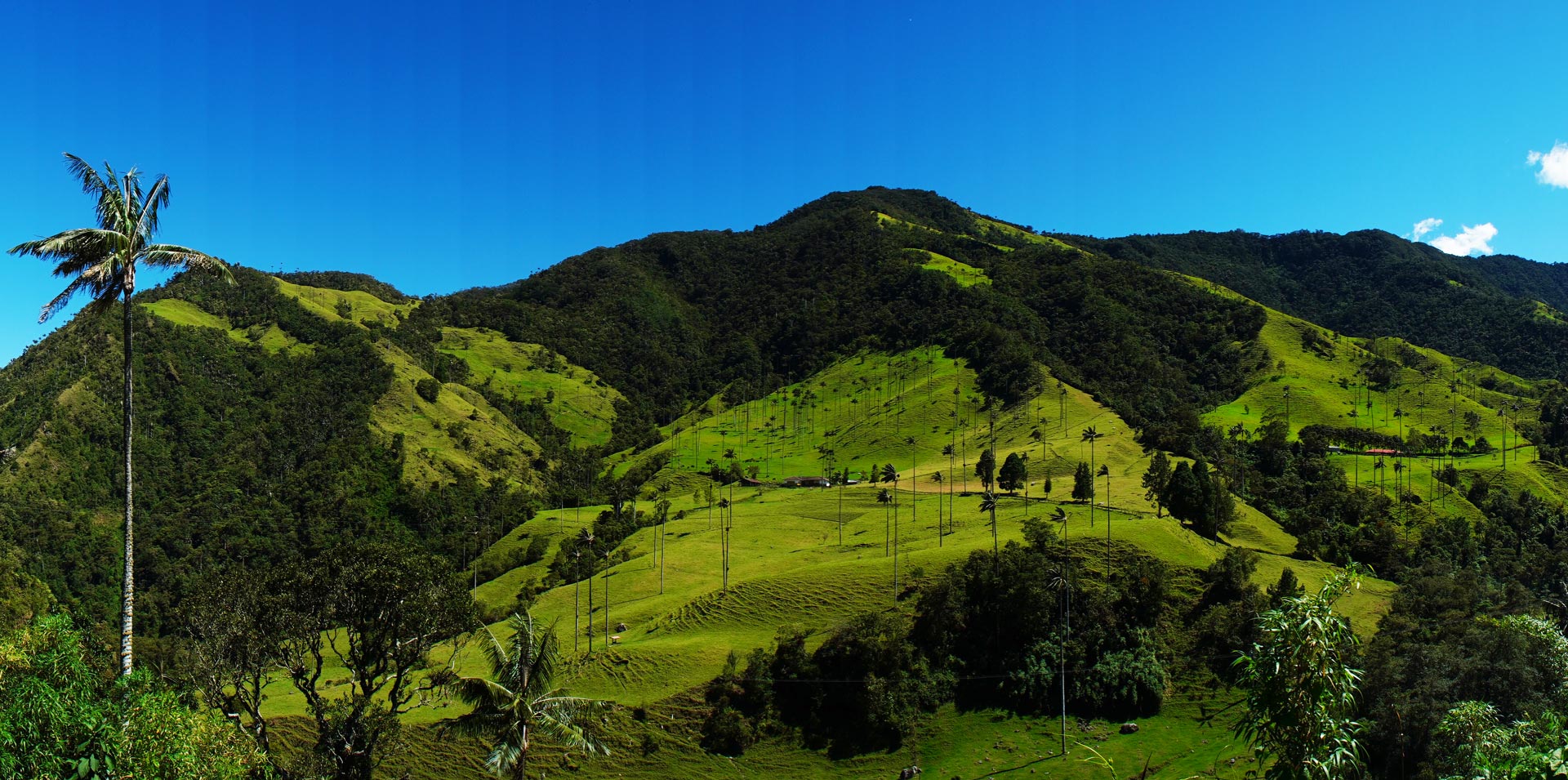Cocora Valley Panoramic View in Colombia