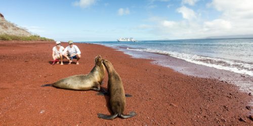 Turistas disfrutando de lobos marinos en Galápagos