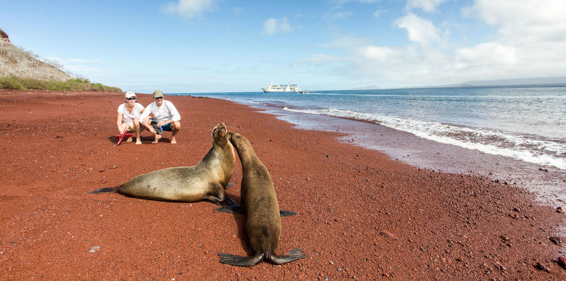 Turistas disfrutando de lobos marinos en Galápagos