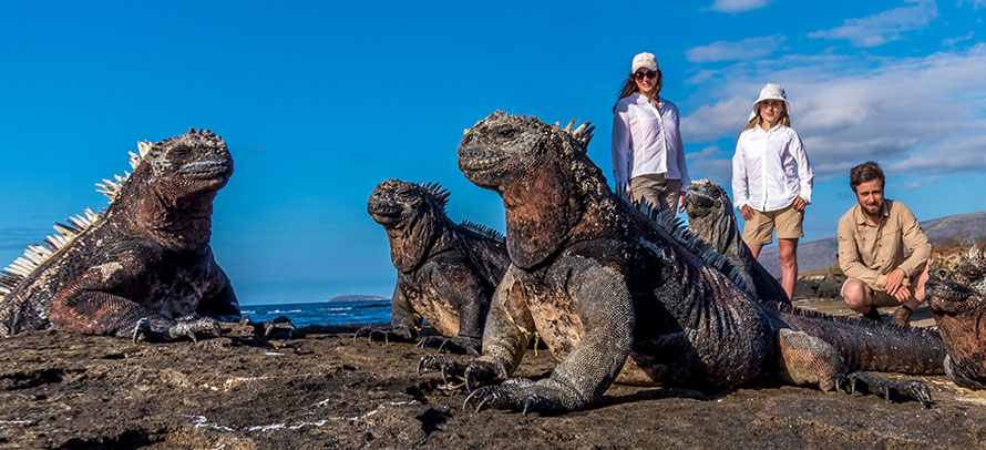 Exploradores admirando iguanas marinas en las Islas Galápagos, un destino remoto