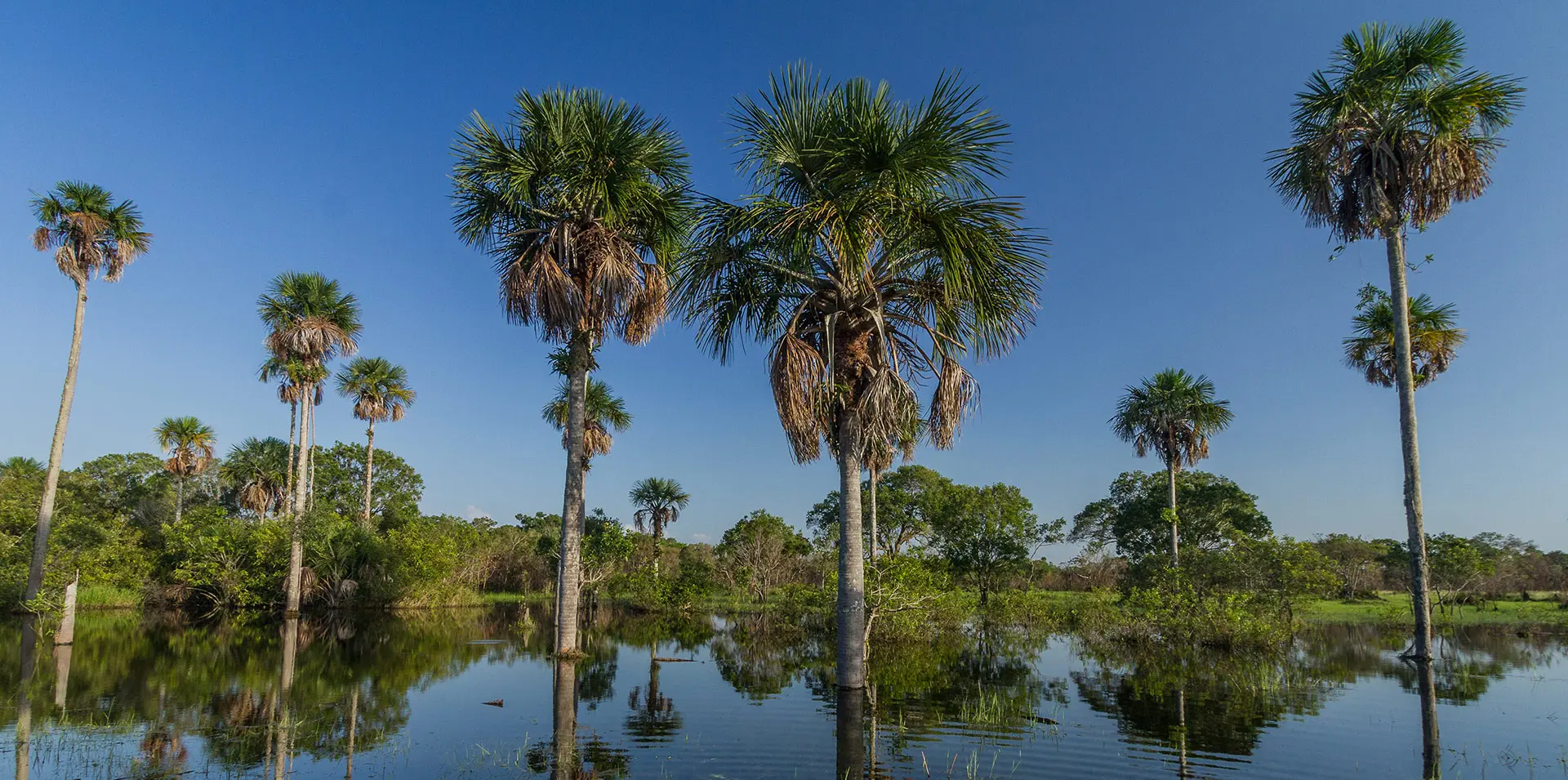 Cascais 2025: La Ciudad Silenciosa de Portugal - Europa Tips, image size:1920x955