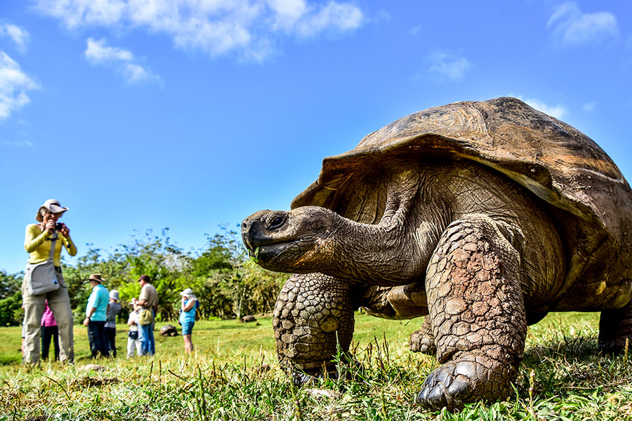 Tourists in Galapagos Giant Tortoise Reserve
