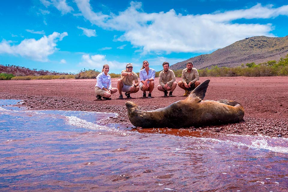 Tourists looking at a sea lion