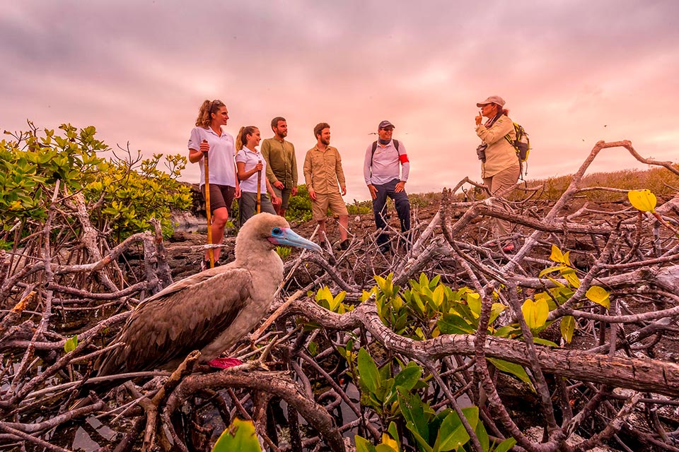 Group of tourists and a blue-footed booby in the Galapagos Islands