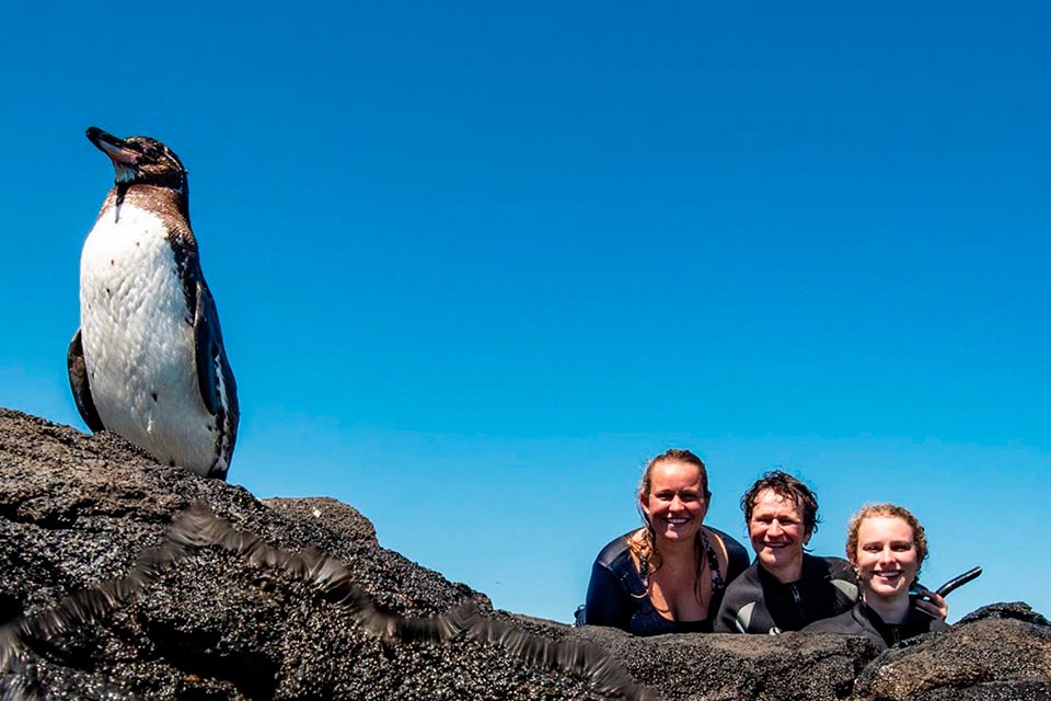 Tourists interacting with Galapagos Penguin