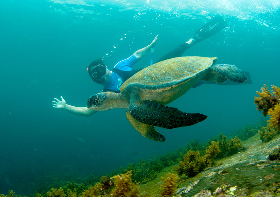 Scuba Diving in the Galapagos Islands