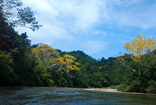 don diego river tayronaka colombia santa marta caribbean