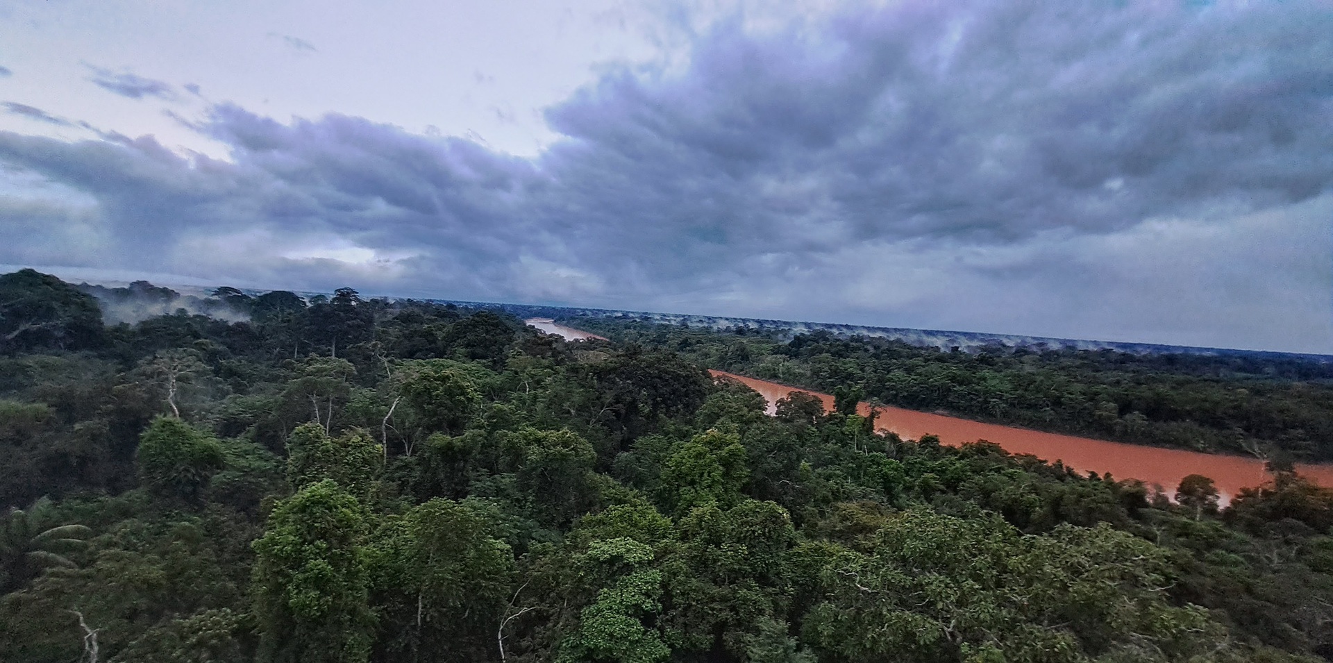 Skyview of Peruvian Rainforest