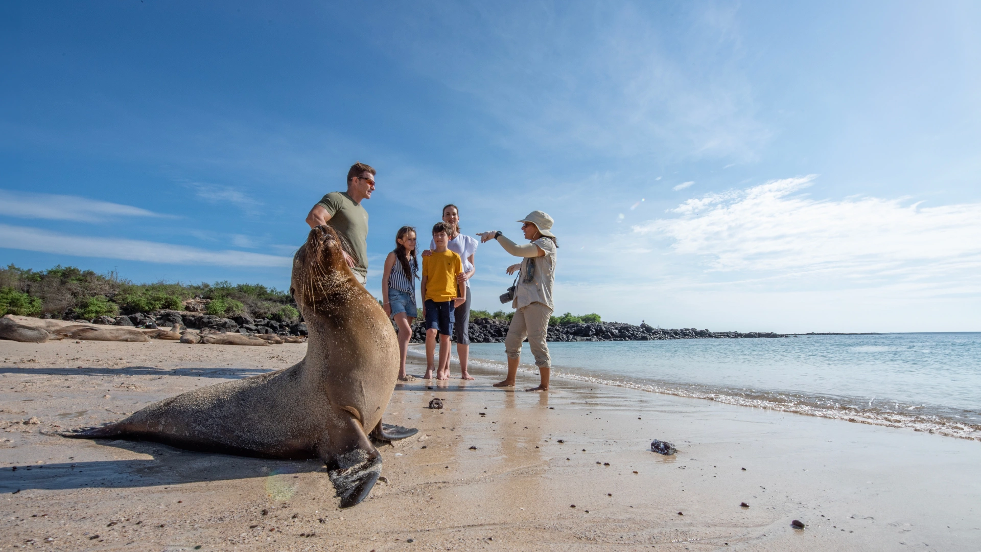 The Galapagos Islands: the ultimate spring break destination