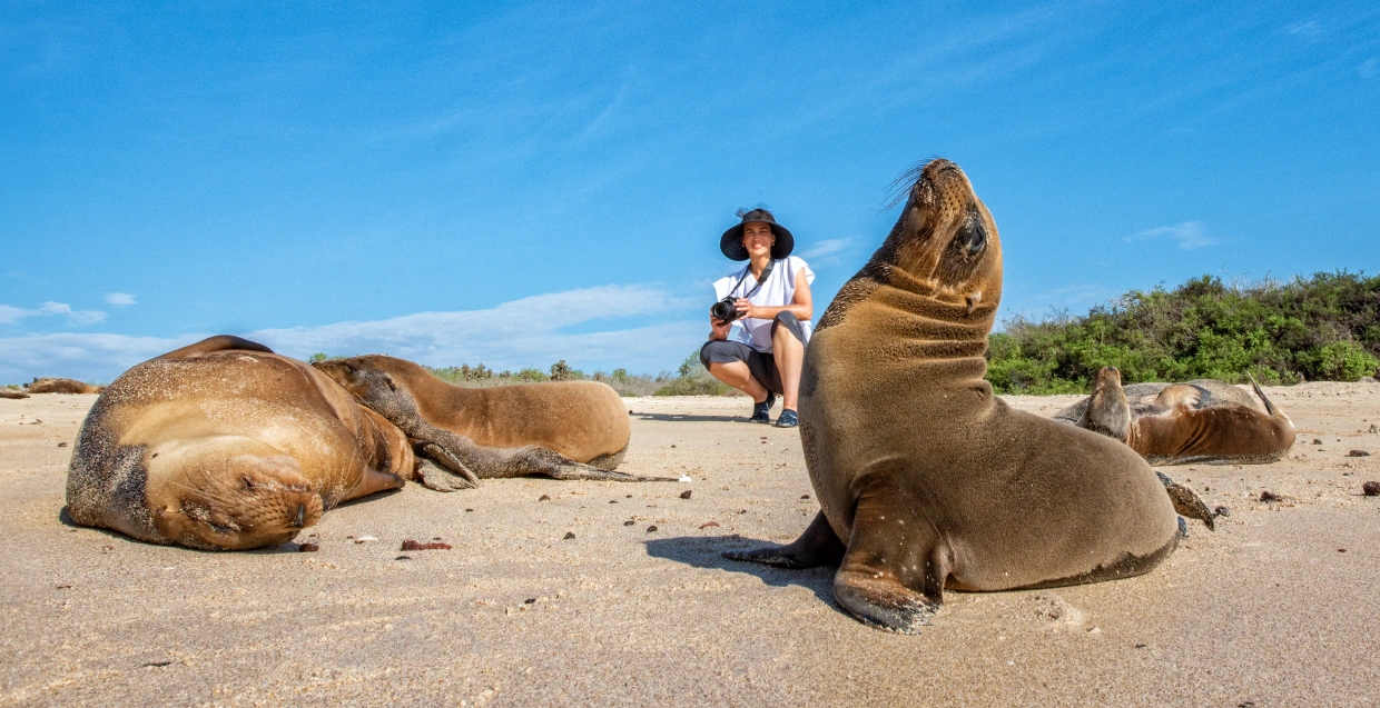 Galapagos Islands South America's Safest Destination