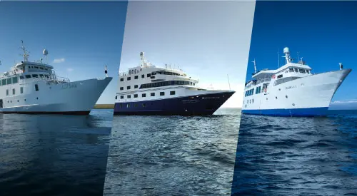Los mejores cruceros de expedición a Galápagos