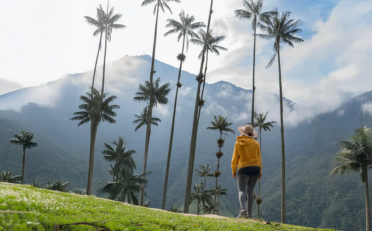 A woman in a yellow hoodie overlooks the misty forest of towering wax palms in the Cocora Valley, a highlight of the Colombia Coffee Region tour