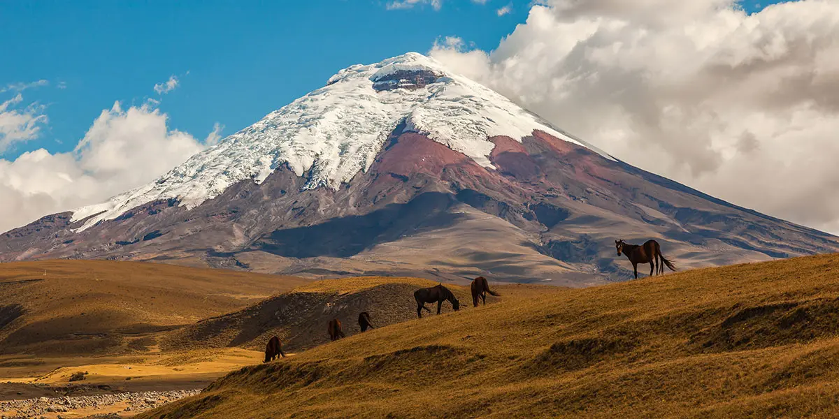 Parque Nacional de Cotopaxi, Ecuador