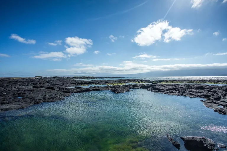 Fernandina Island in the Galapagos archipelago
