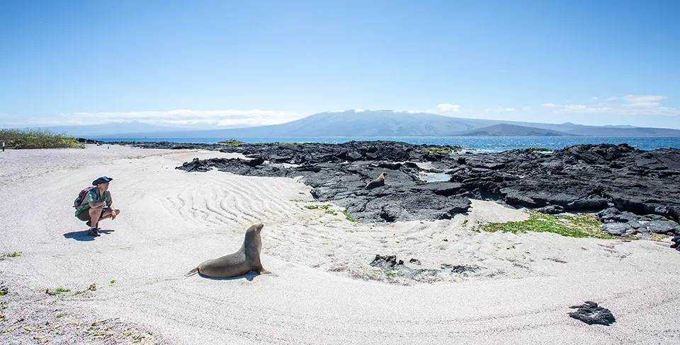 Fernandina Island wildlife observing, Galapagos