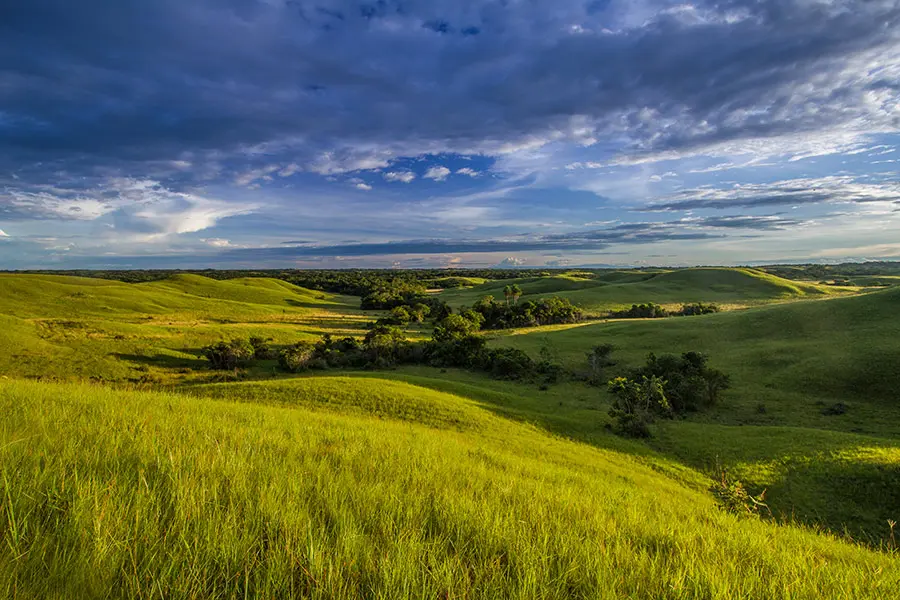 Los Llanos en Colombia