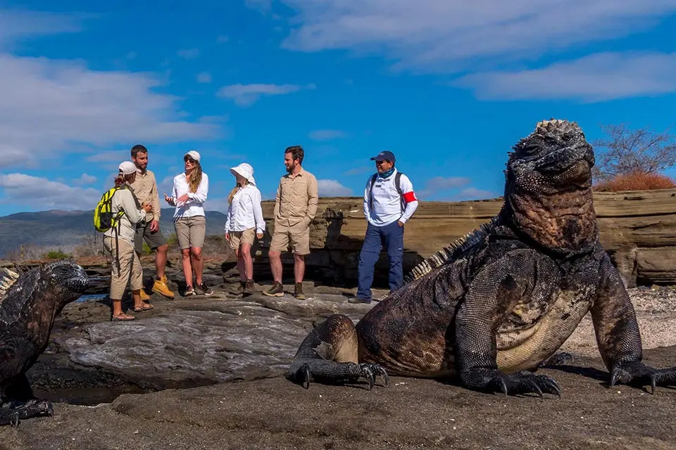 Wildlife watching tourism