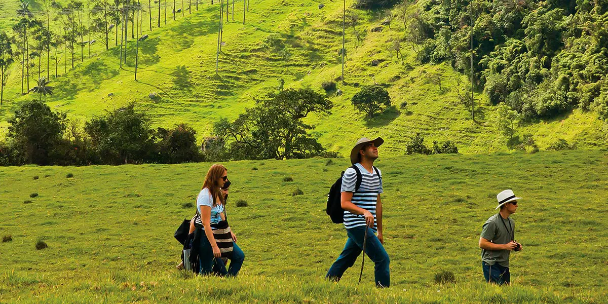 Coffee-Triangle-Region-of-Colombia