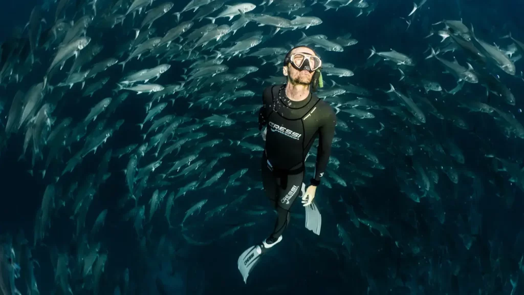 Galapagos Cruise, Scuba Diving Adventure