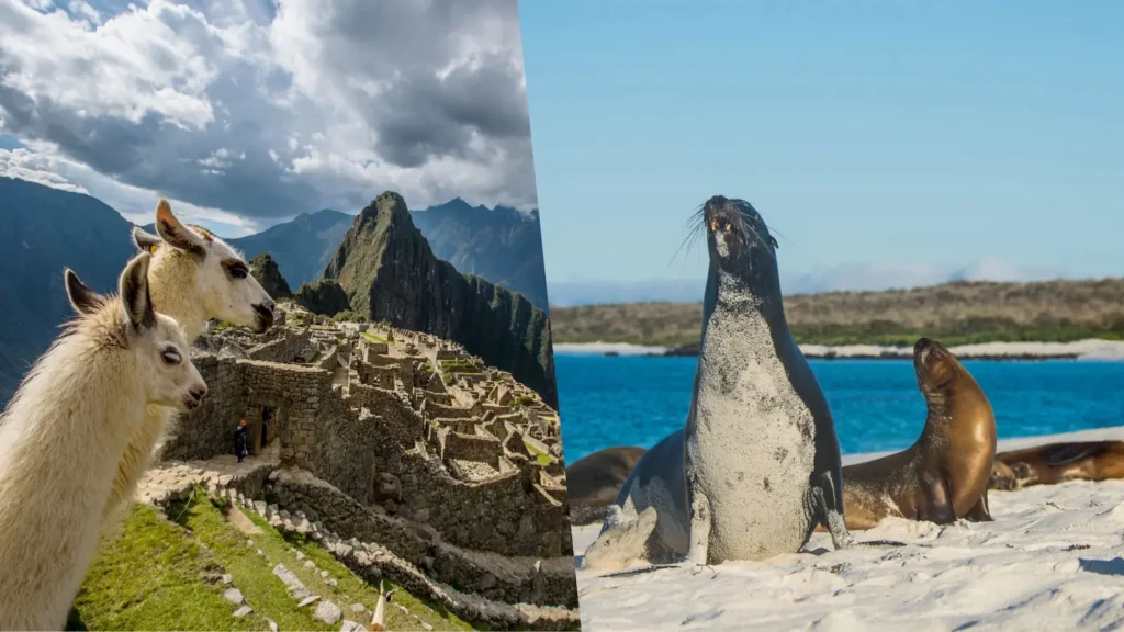 Galapagos Islands Machu Picchu