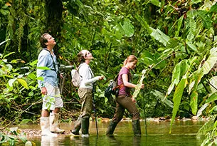 Rainforest Exploration Mashpi Lodge