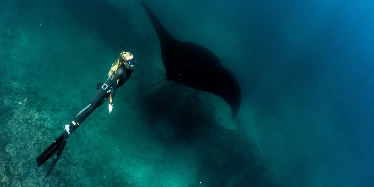 Scuba Diving Galapagos Island